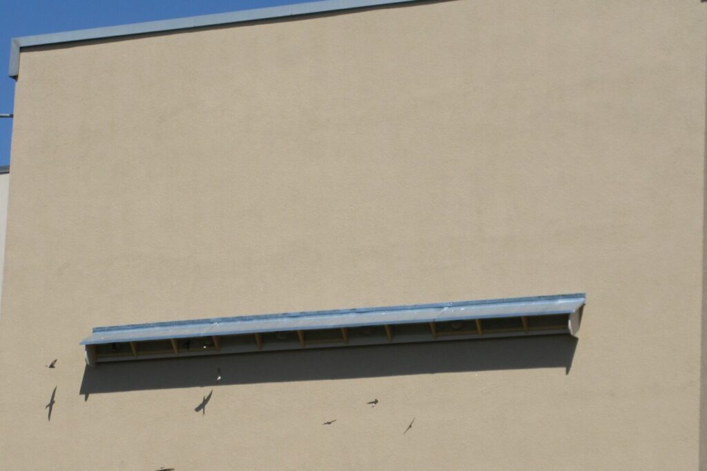 img optimiertes schwalbenbrett nach schuldes